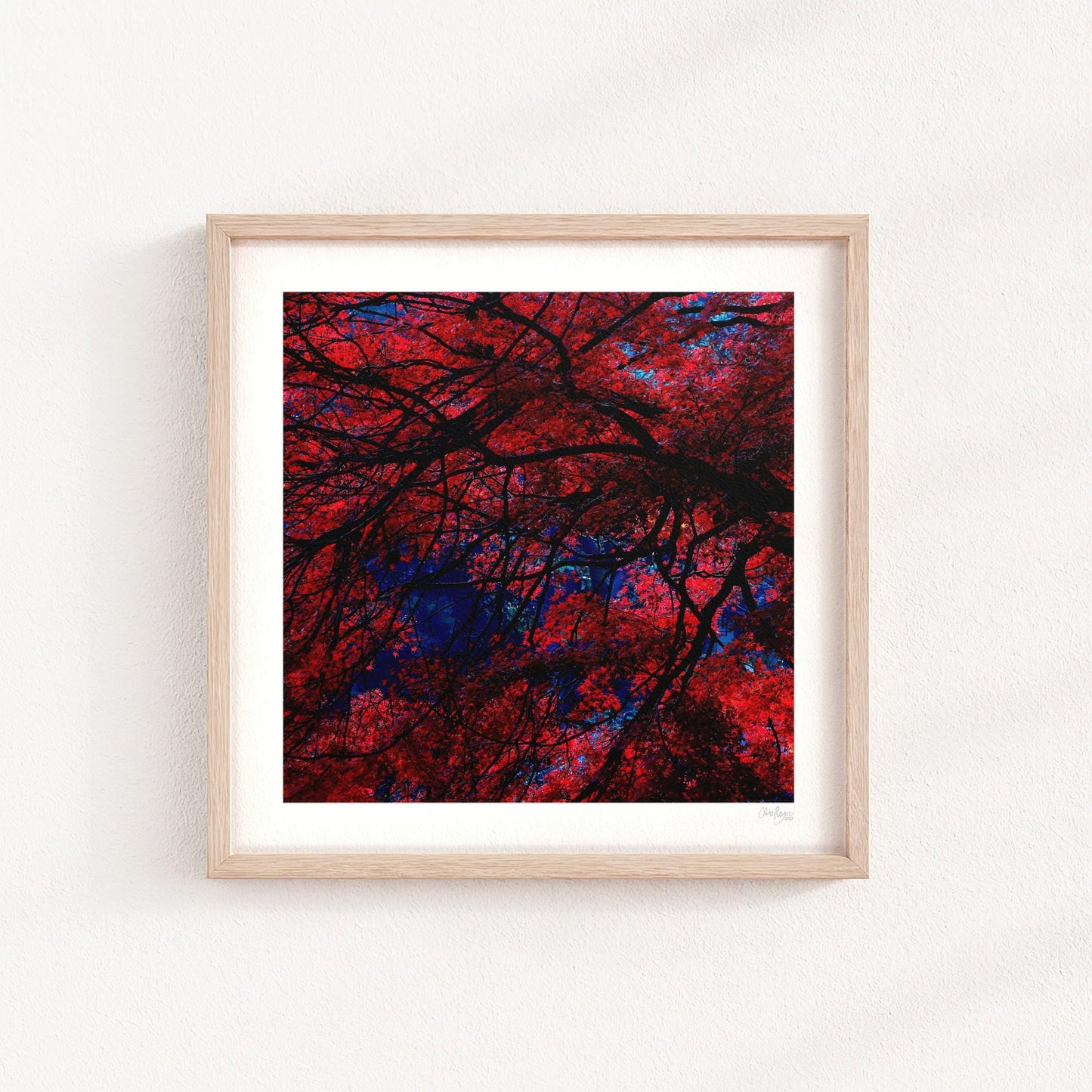 Japanese Garden Maple Print