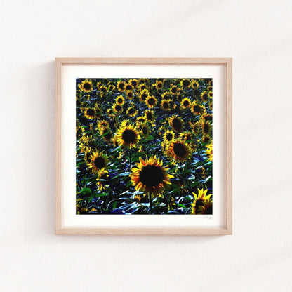 Yellow Sunflowers Print