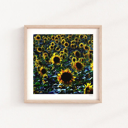 Yellow Sunflowers Print