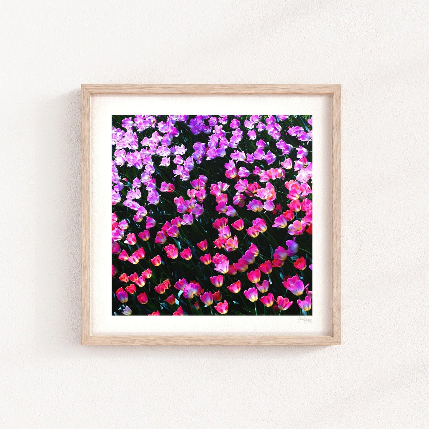 Rainbow Tulip Print