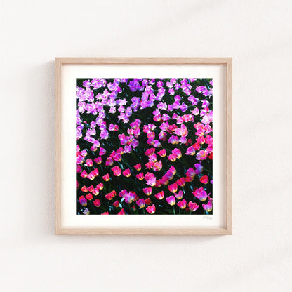 Rainbow Tulip Print