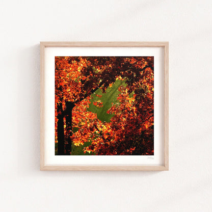 Orange and Green Fall Print