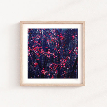 Gothic Dark Forest Print