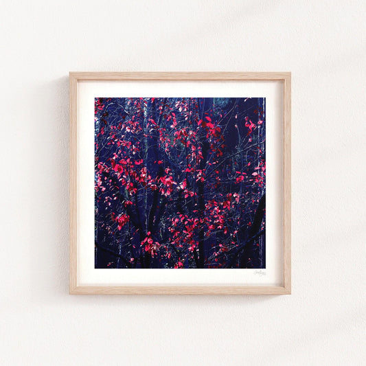 Gothic Dark Forest Print