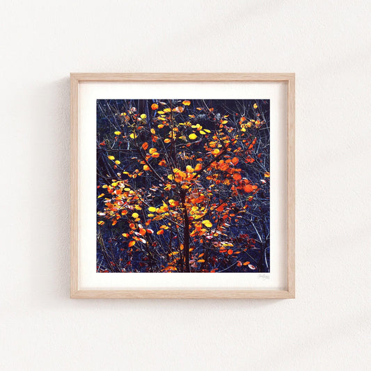 Navy Blue Fall Tree Print