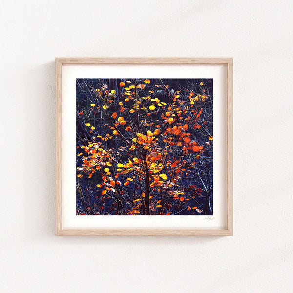 Navy Blue Fall Tree Print