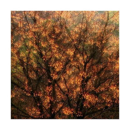 Beige Tree Wall Print