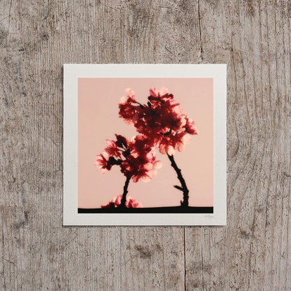 Cherry Blossom Mini Print