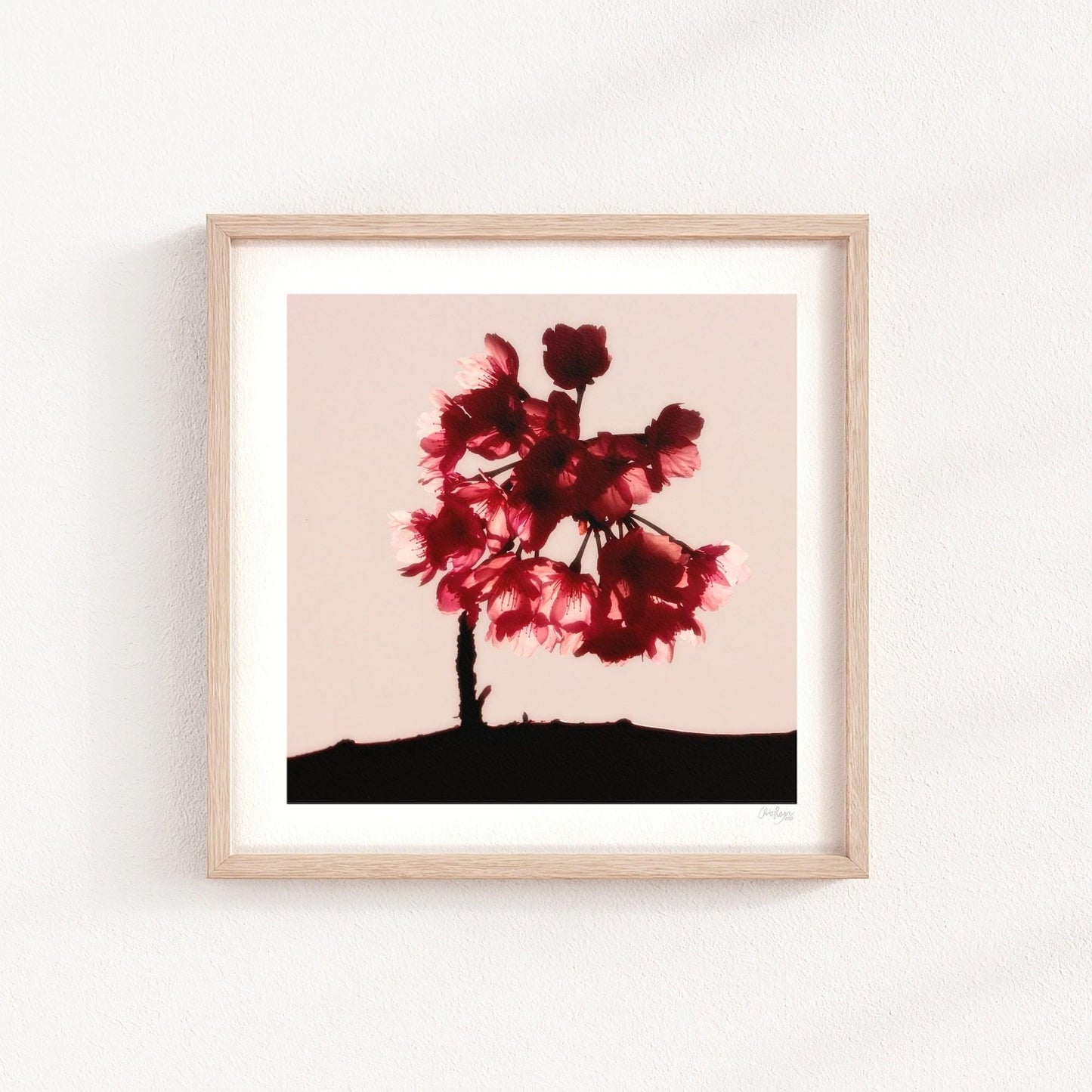 Cherry Blossom Mini Print