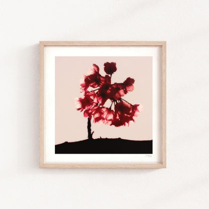 Cherry Blossom Mini Print