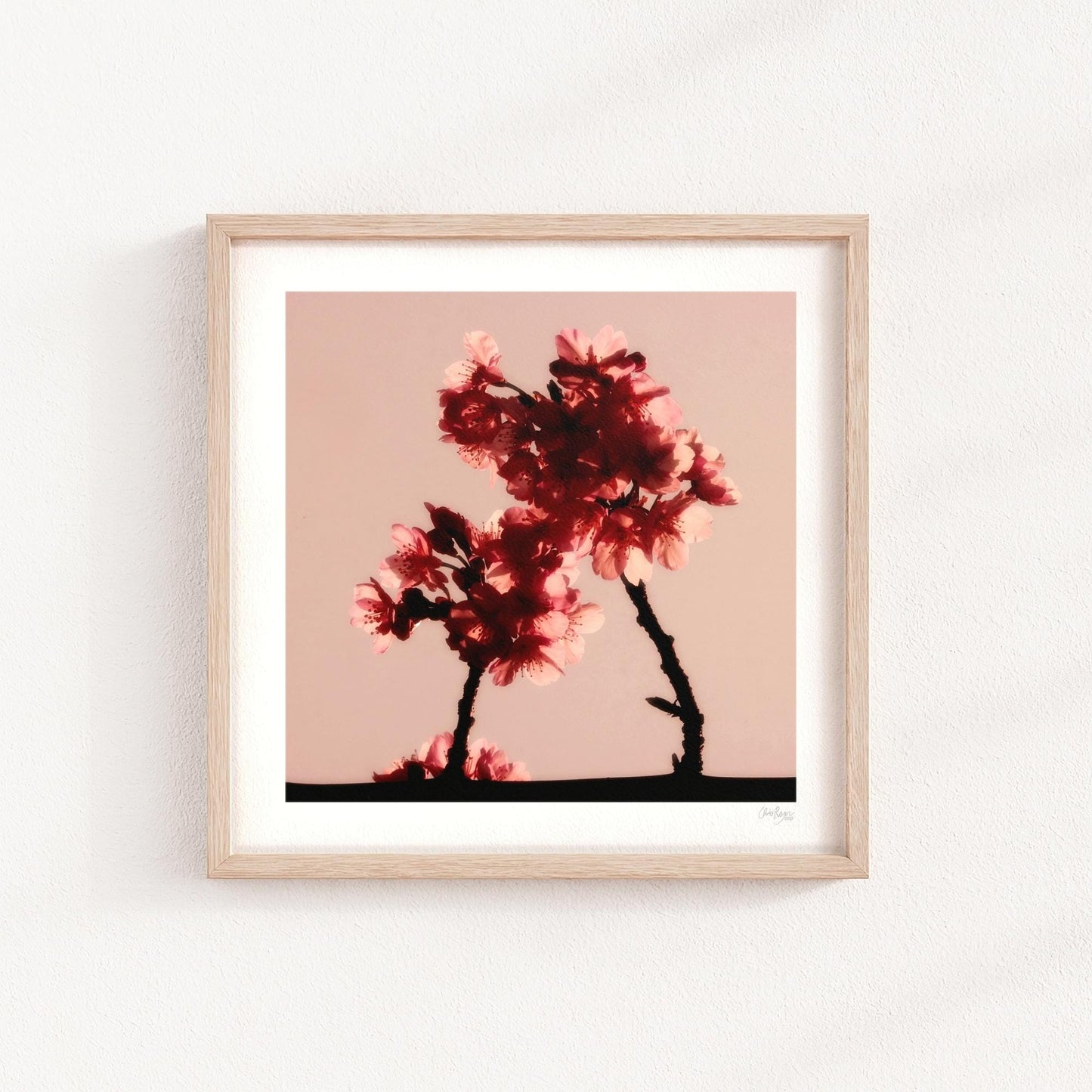 Cherry Blossom Mini Print