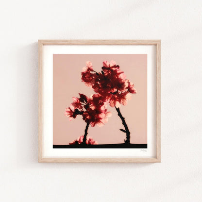 Cherry Blossom Mini Print