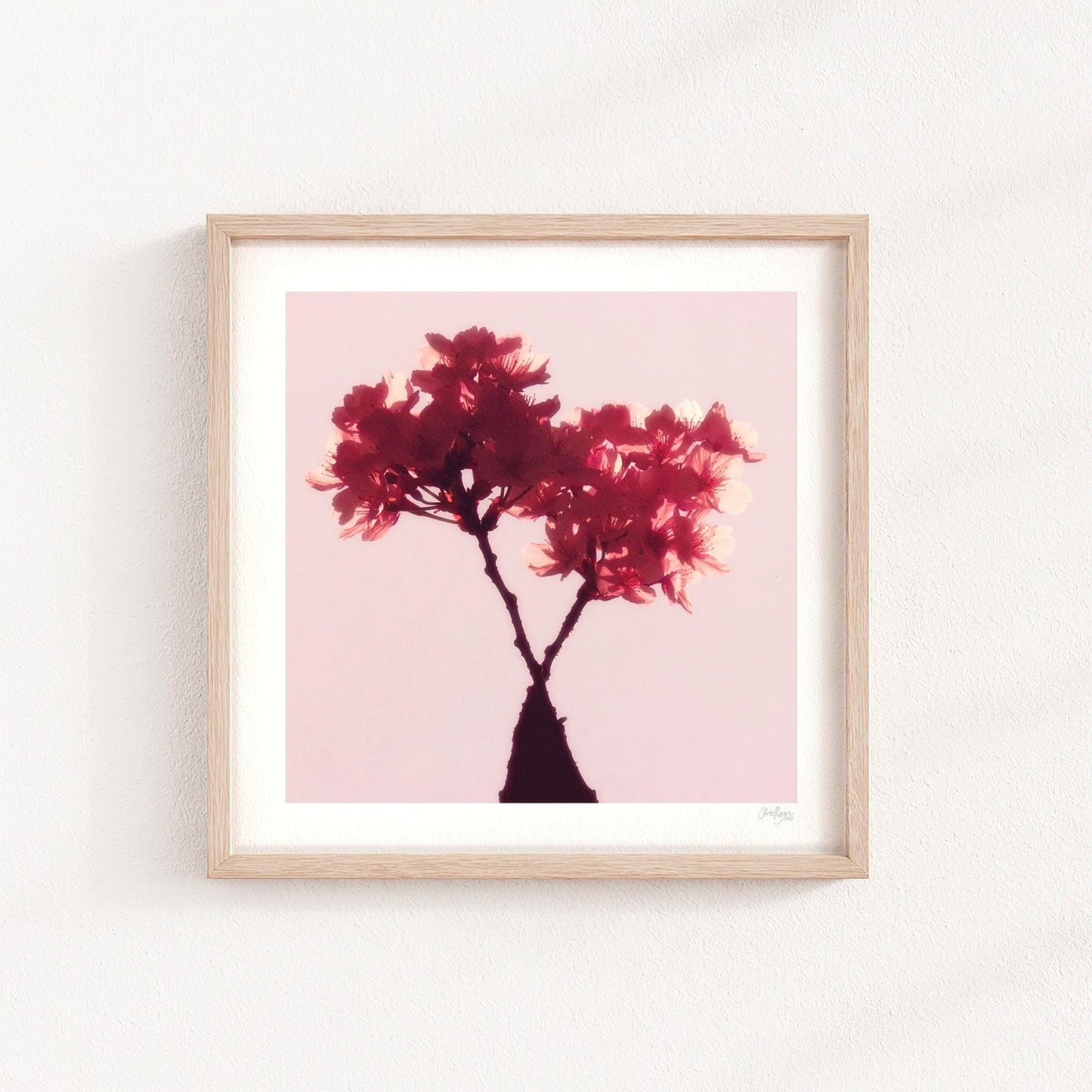 Cherry Blossom Mini Print