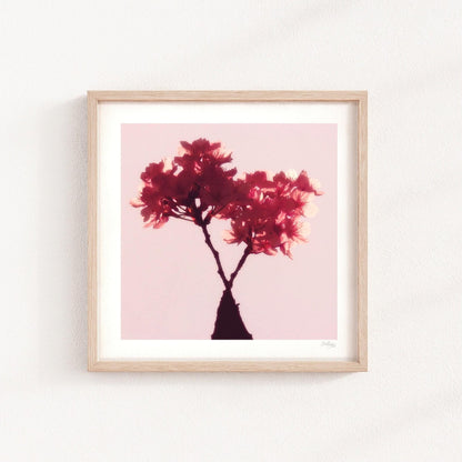 Cherry Blossom Mini Print