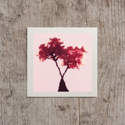 Cherry Blossom Mini Print