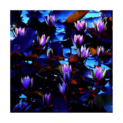 Moody Water Lily Print