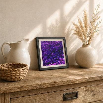 Purple Cosmos Flowers Moody Print