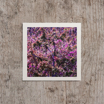 Apple Blossom Mauve Print