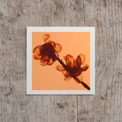 Yellow Flower Petal Wall Print