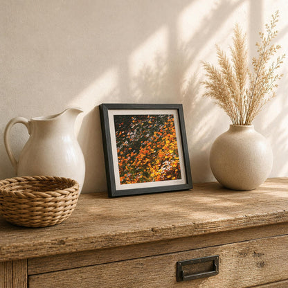 Orange Coreopsis Flower Print