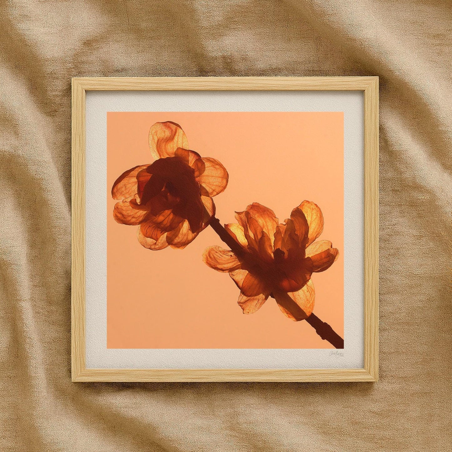 Yellow Flower Petal Wall Print
