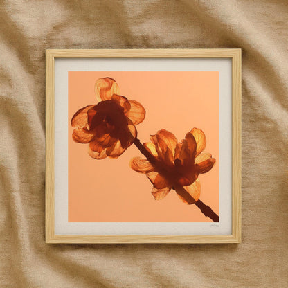 Yellow Flower Petal Wall Print
