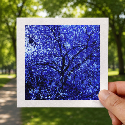 Starry Sky Dark Floral Print