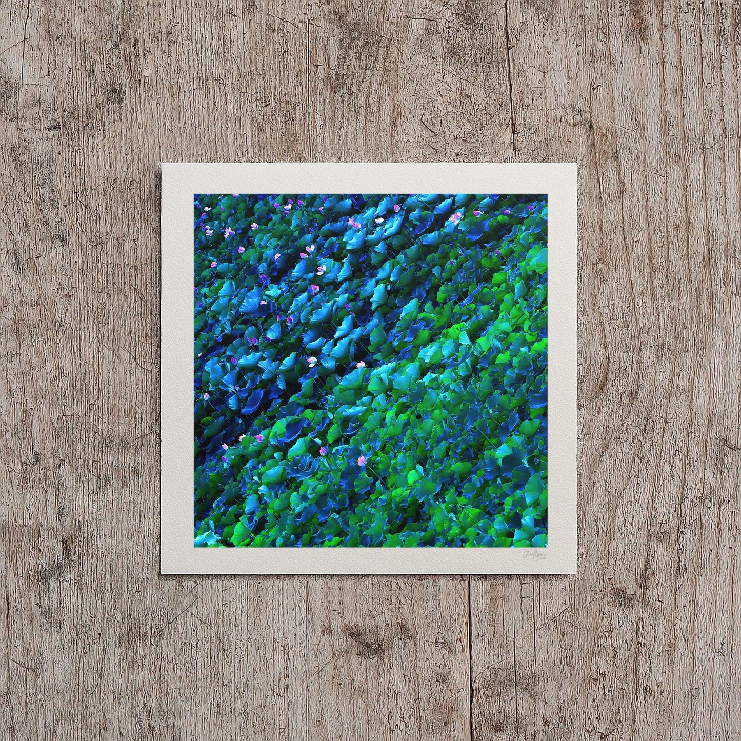 Seafoam Green Lotus Leaf Pattern Print