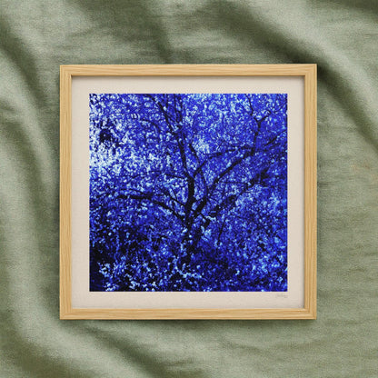 Starry Sky Dark Floral Print