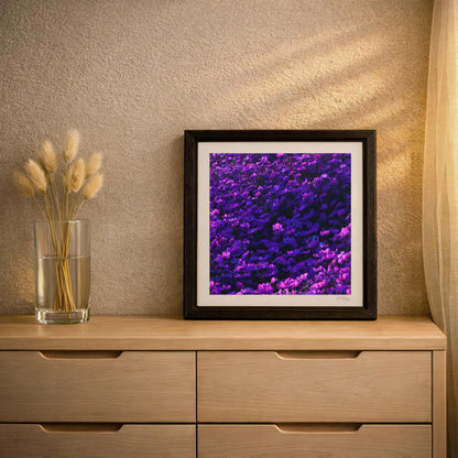 Purple Cosmos Flowers Moody Print