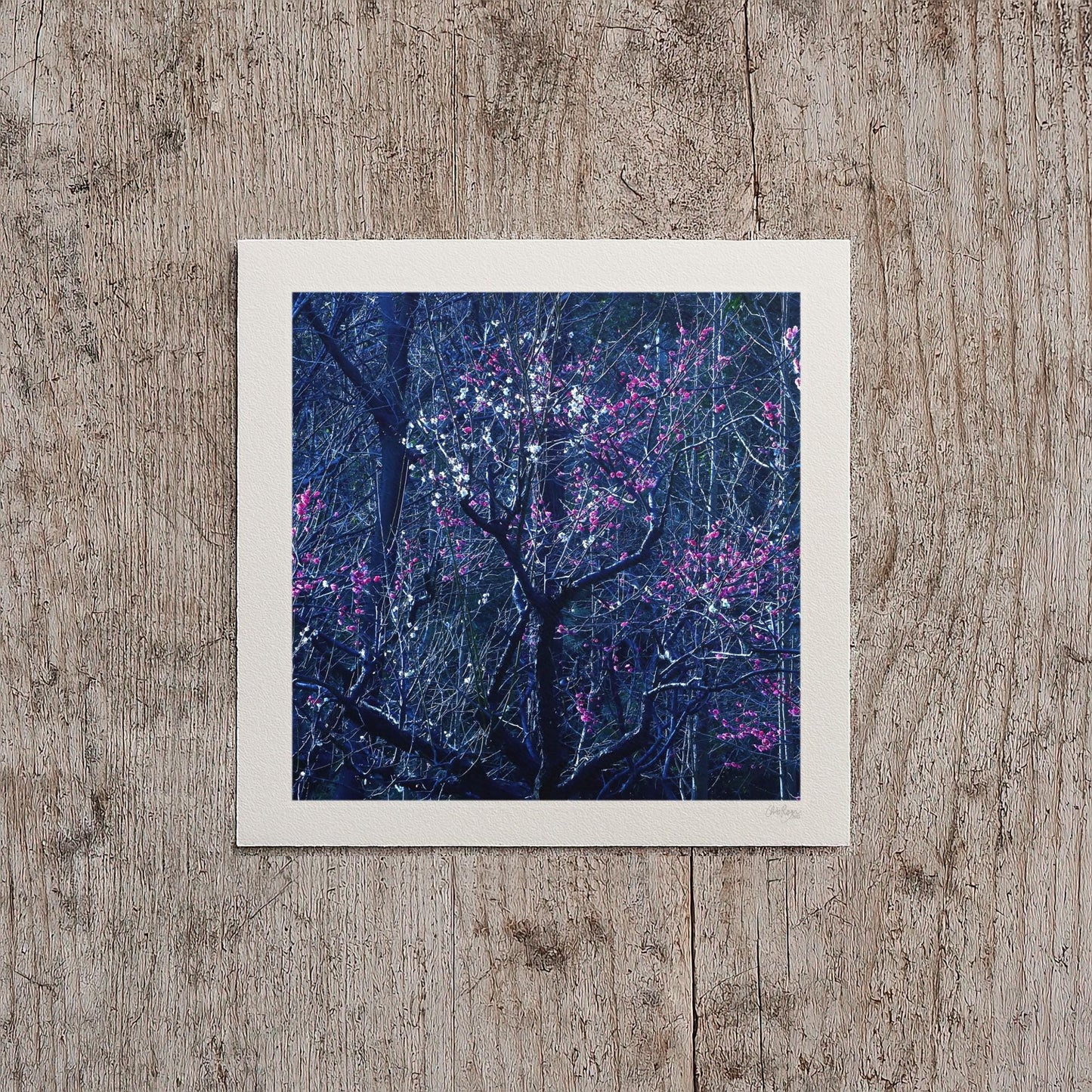 Gothic Spring Blossom Print