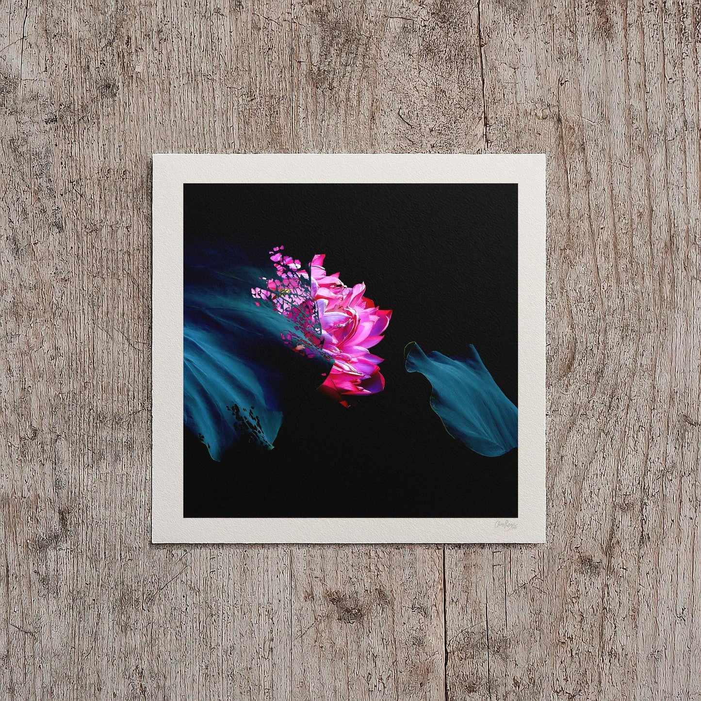 Pink Lotus Flower Print