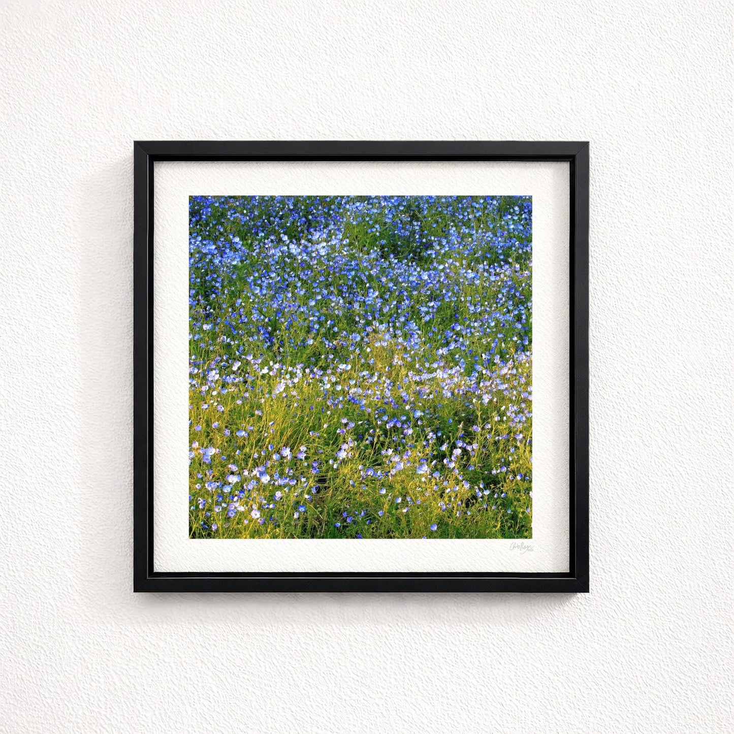 Forget Me Not Print