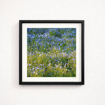 Forget Me Not Print
