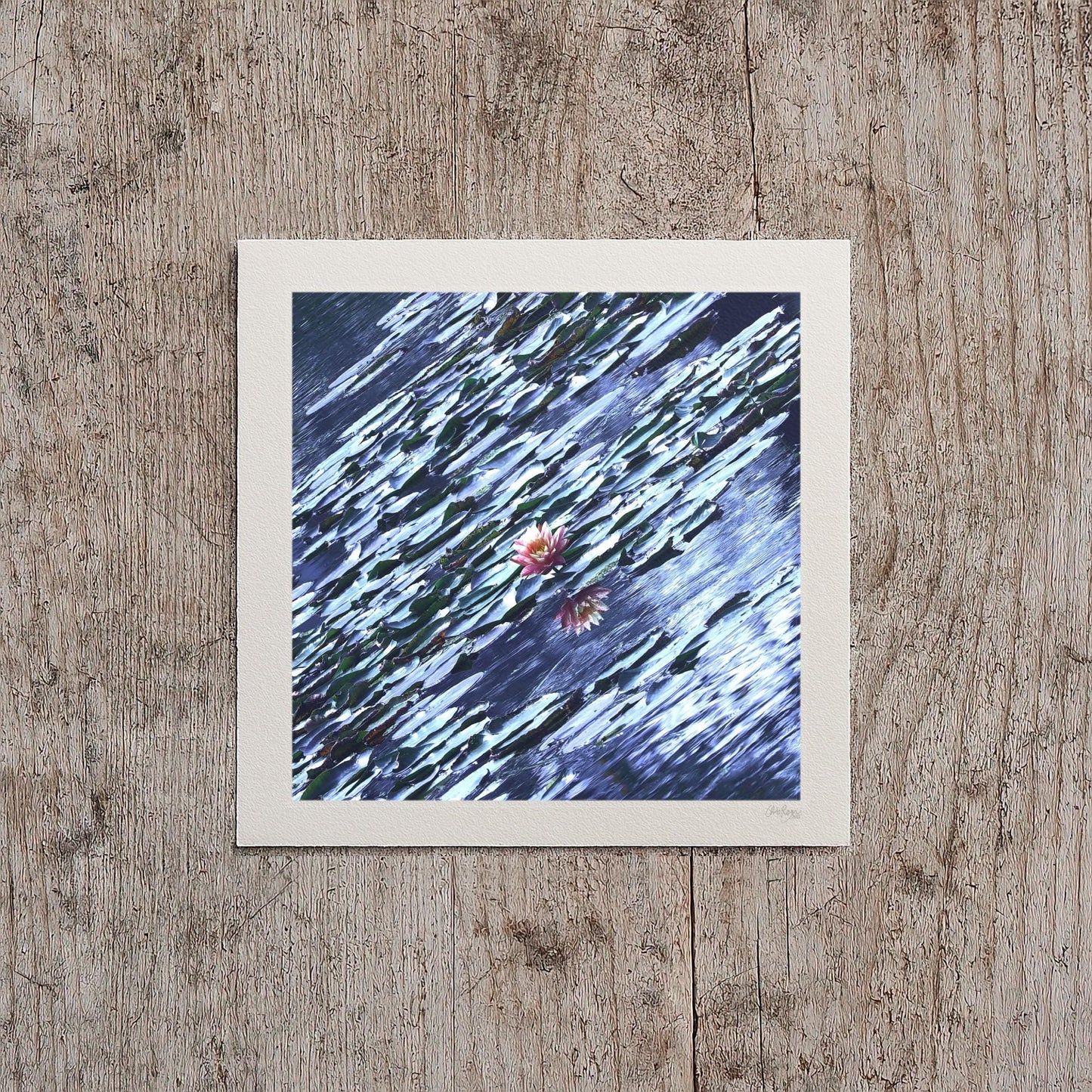 Pastel Water Lily Print