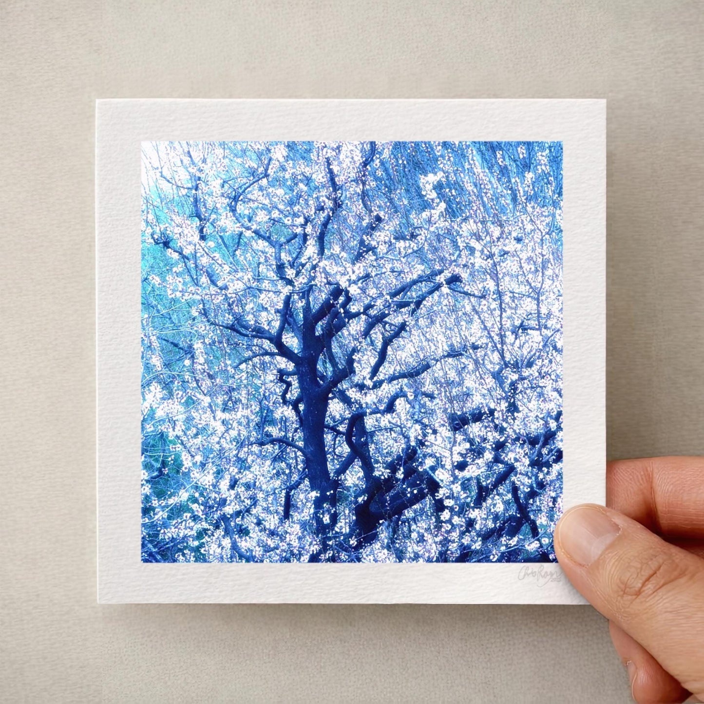 Calming Almond Blossom Print