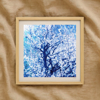 Calming Almond Blossom Print
