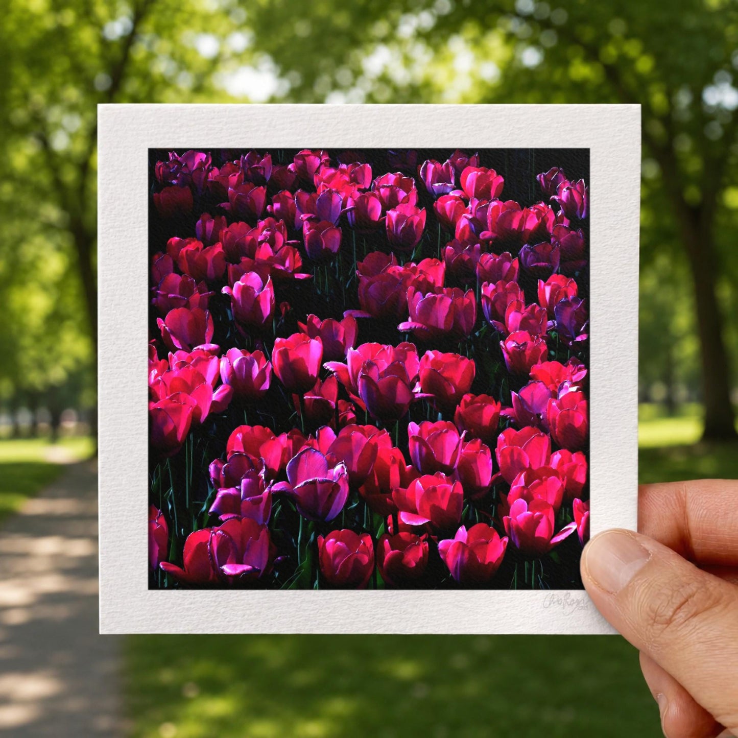 Red Tulip Print