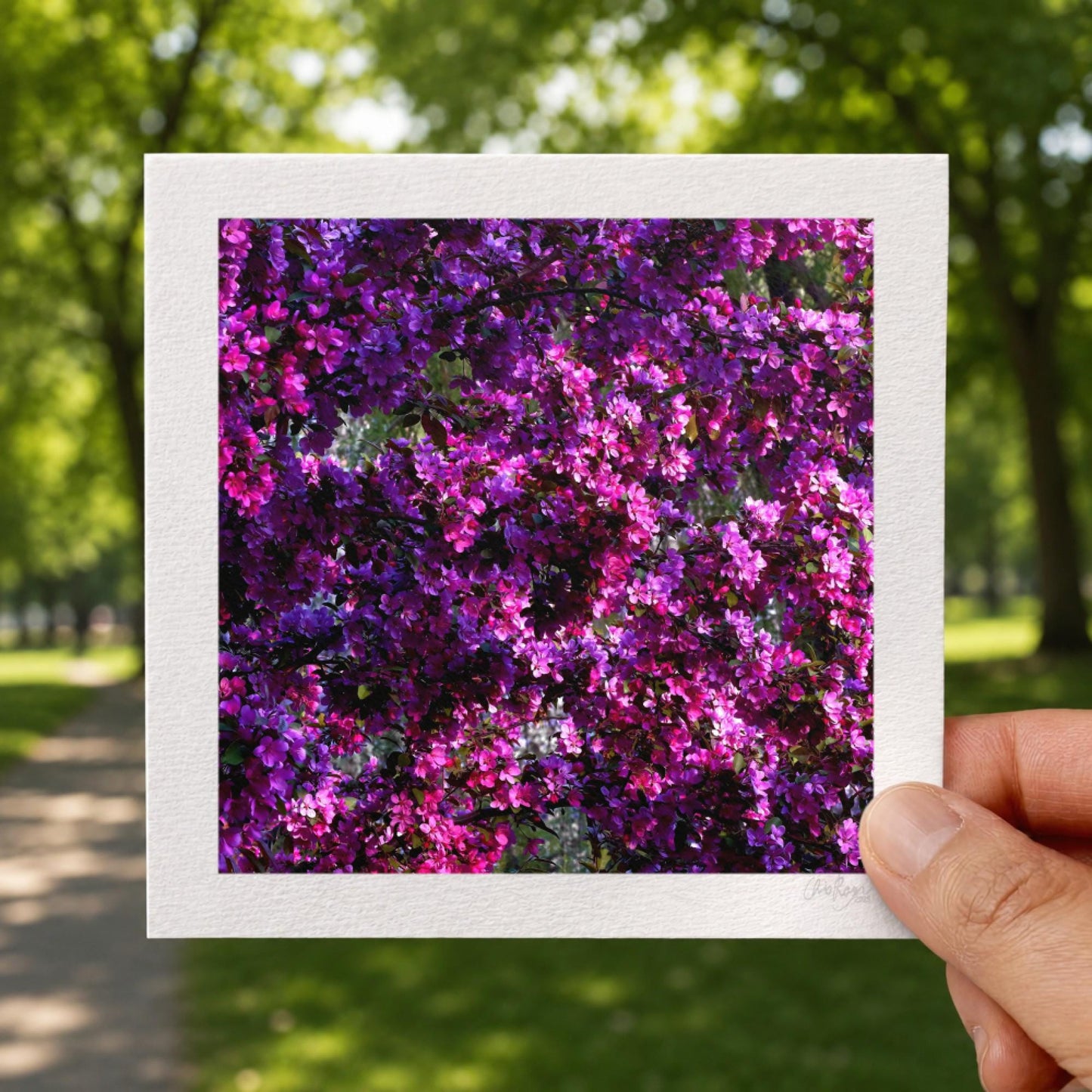 Hot Pink Wheel of Spring Print
