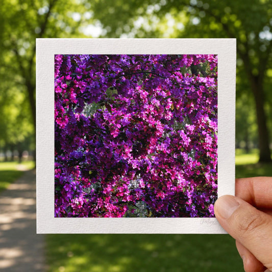 Hot Pink Wheel of Spring Print