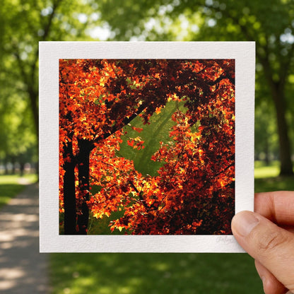 Orange and Green Fall Print
