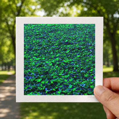 Lotus Pond Print