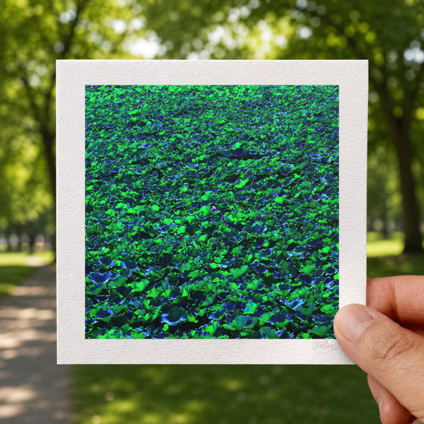 Lotus Pond Print