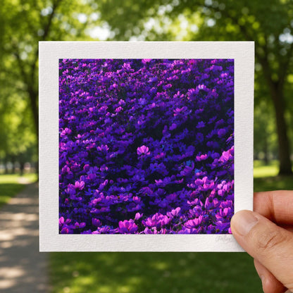 Purple Cosmos Flowers Moody Print