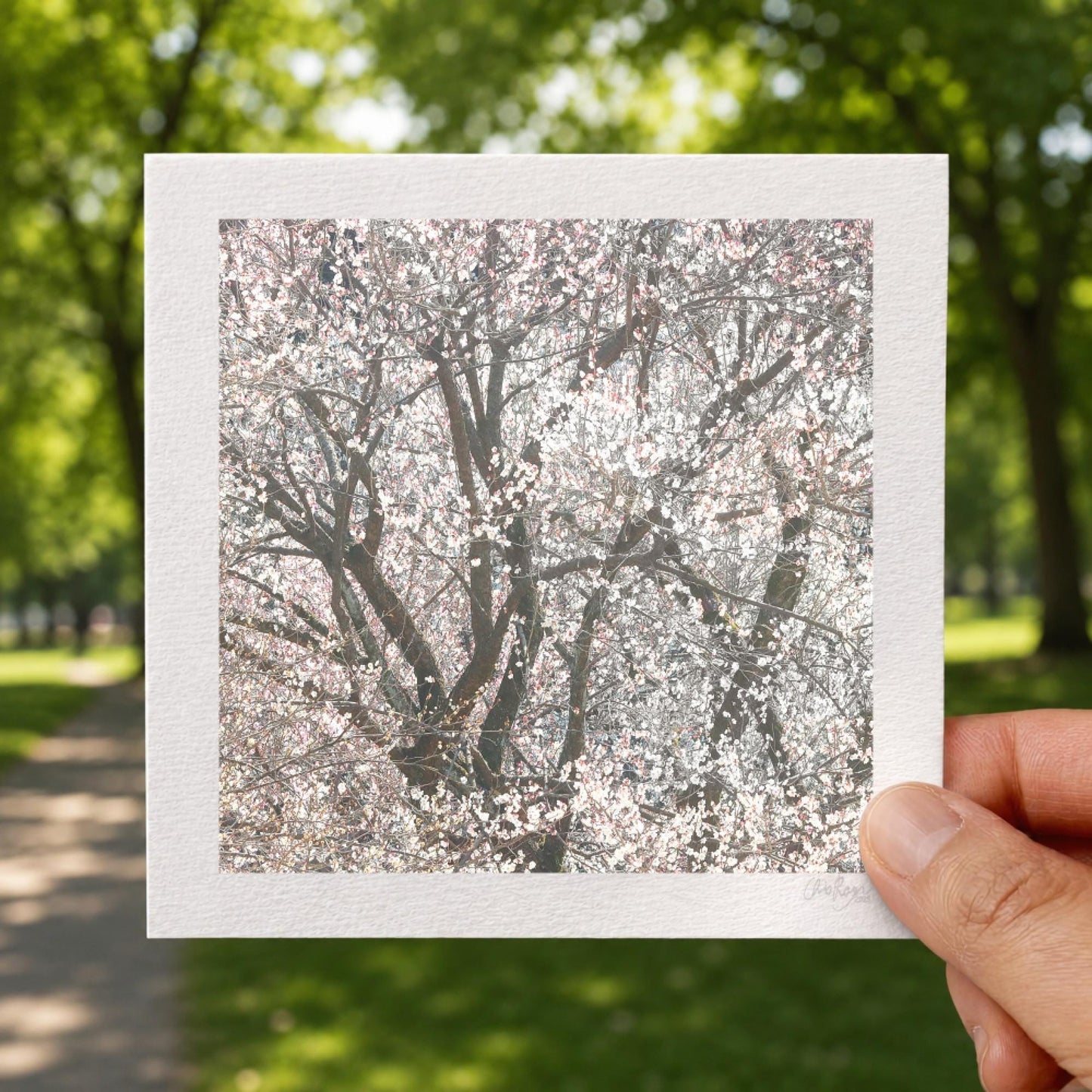 Blush Pink Blossom Snowstorm Print