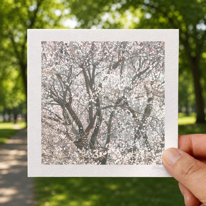 Blush Pink Blossom Snowstorm Print