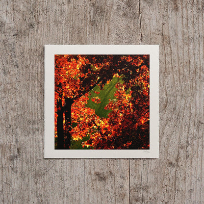 Orange and Green Fall Print