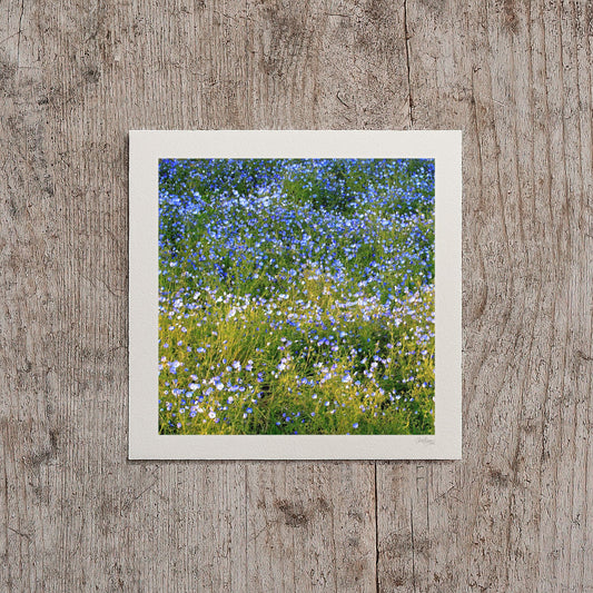 Forget Me Not Mini Print