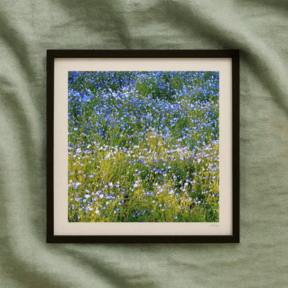 Forget Me Not Mini Print
