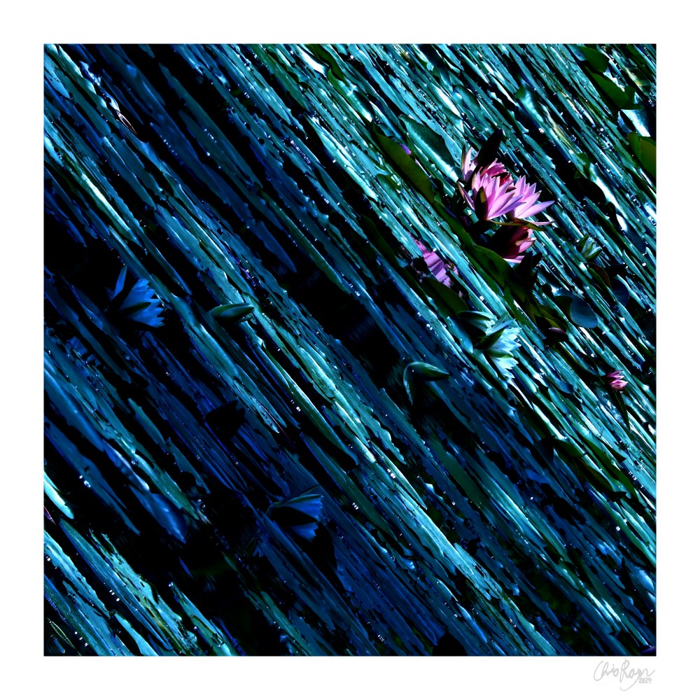 Jewel of the Sea: Emerald Green Water Lily Art Print